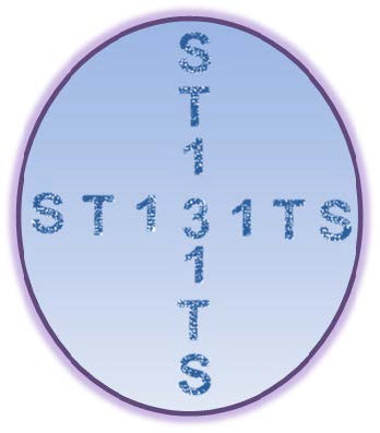 Project ST131TS logo