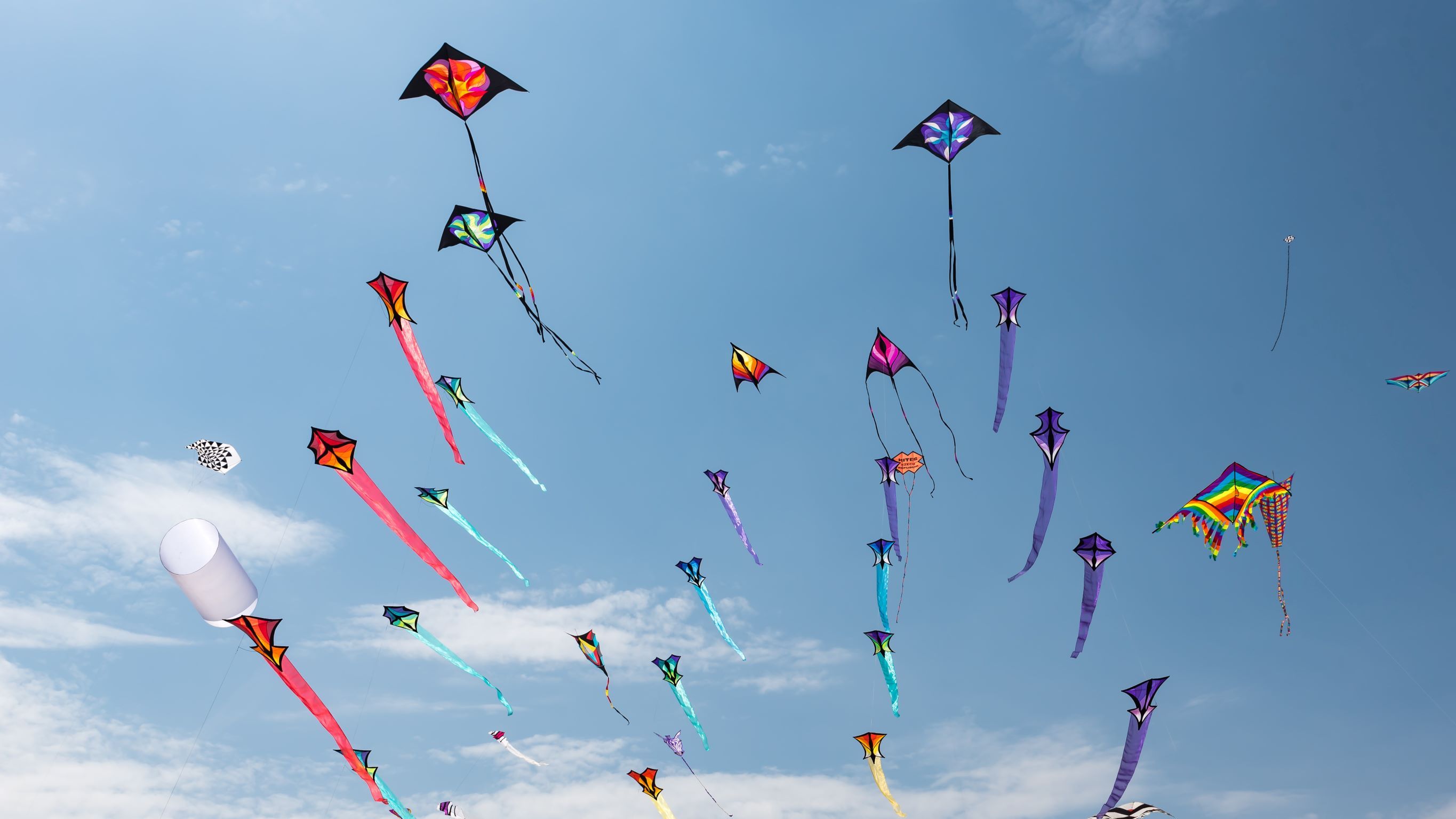 Kites in a blue sky.