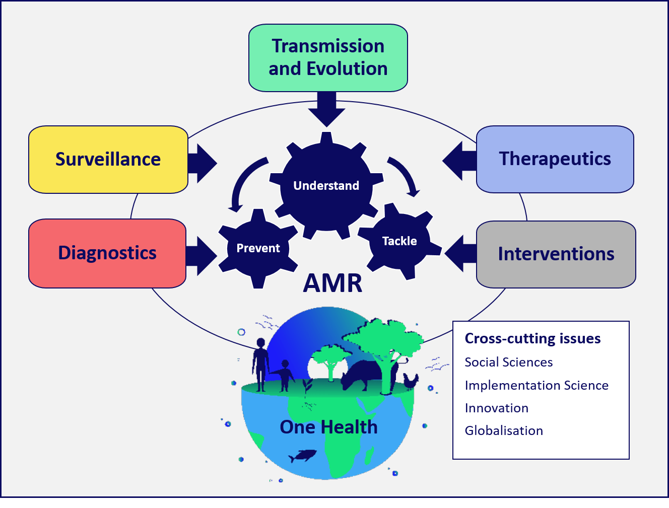 The five thematic areas of the OH AMR Partnership SRIA
