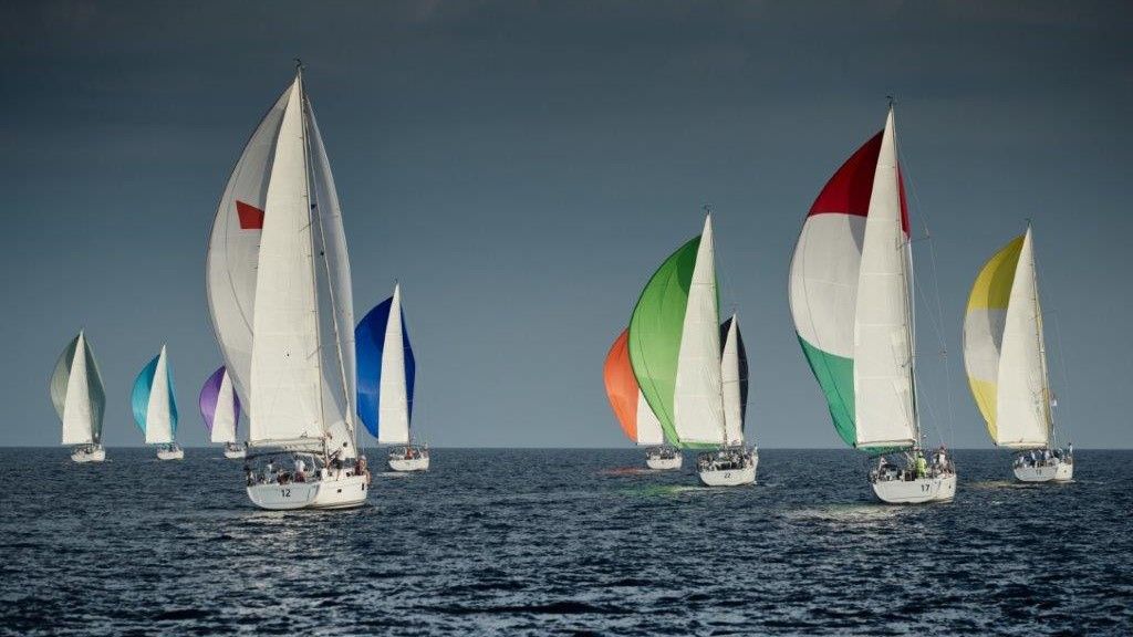 Sailboats in a race