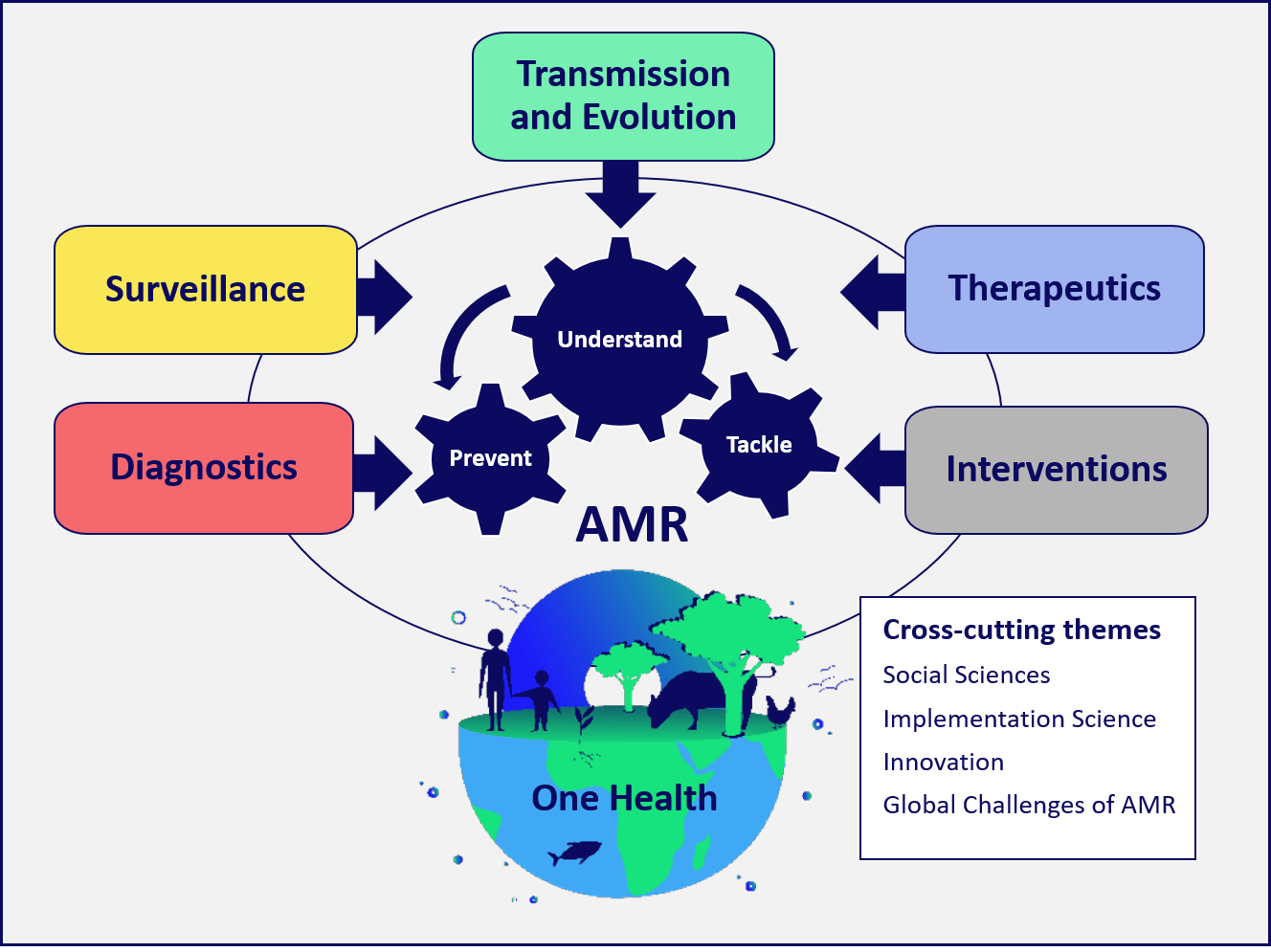 The thematic areas and cross-cutting themes of the OH AMR SRIA